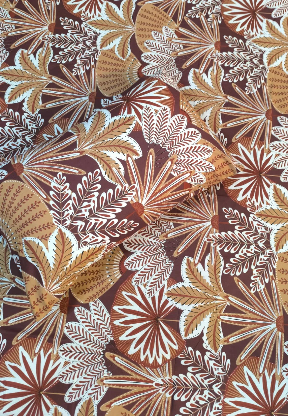 Desert Palms 028
